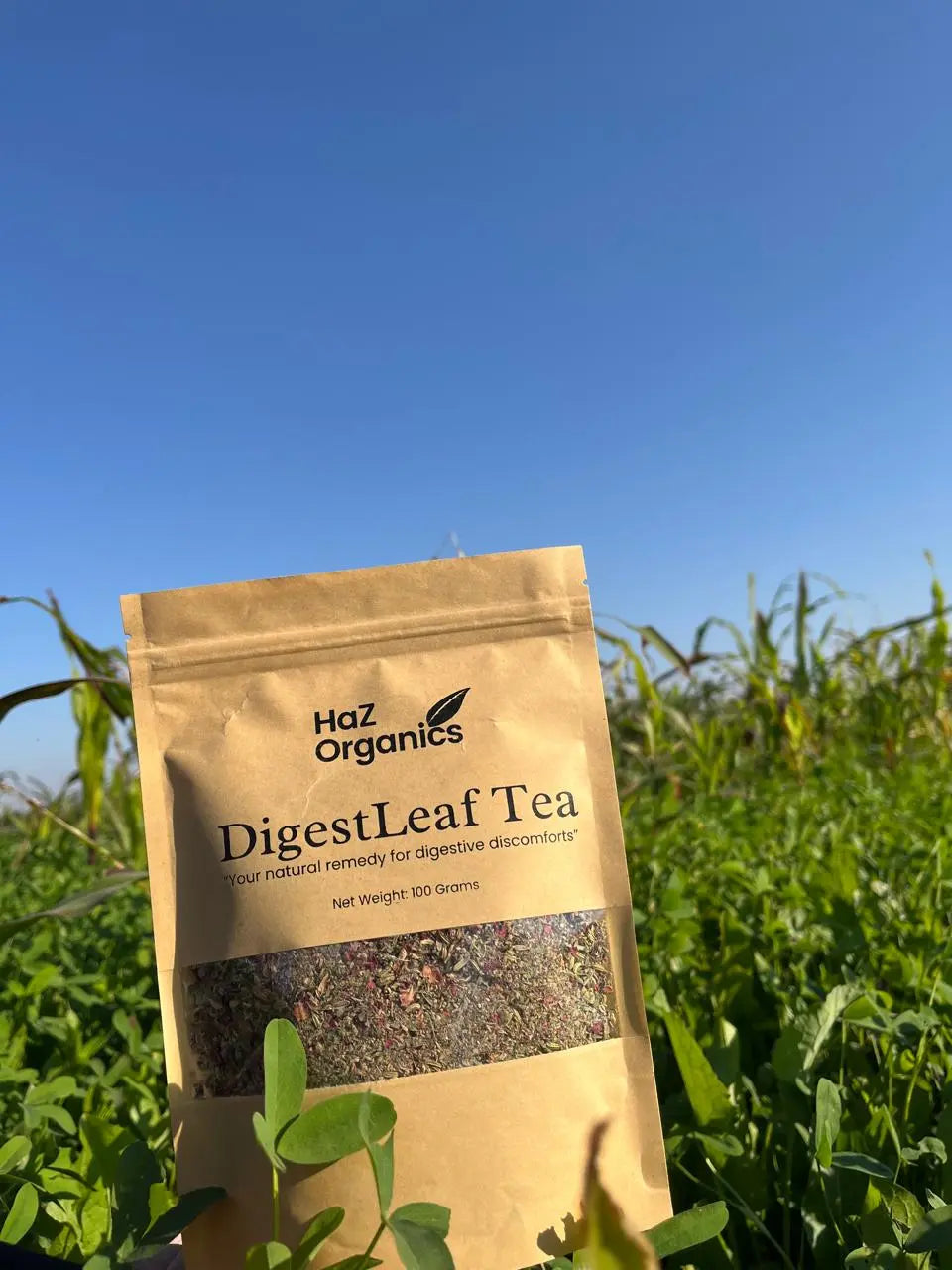 Organic digestive tea by HaZ Organics for better digestion and less bloating.
